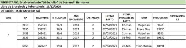Lote Lote 6