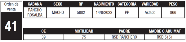 Lote LOTE 41
