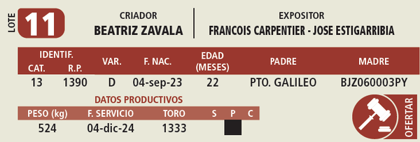 Lote LOTE 11