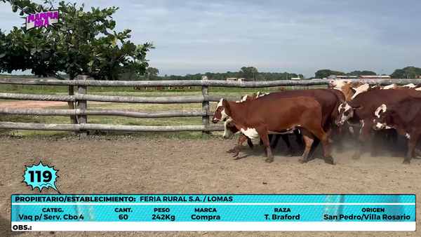 Lote LOTE 119