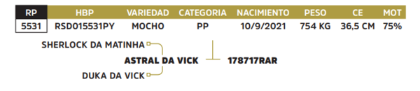 Lote LOTE 2