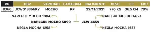 Lote LOTE 3