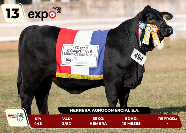 Lote LOTE 13 - SALE A VENTA EL 50%
