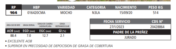 Lote LOTE 34