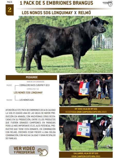 Lote PACK 2