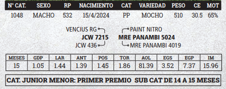 Lote LOTE 9 - BOZAL
