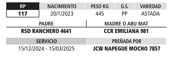 Lote LOTE 16