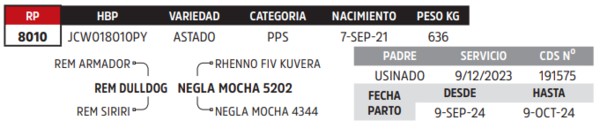 Lote LOTE 38