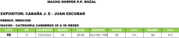 Lote LOTE 56