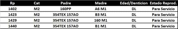 Lote LOTE 1