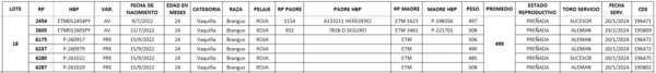 Lote LOTE 18