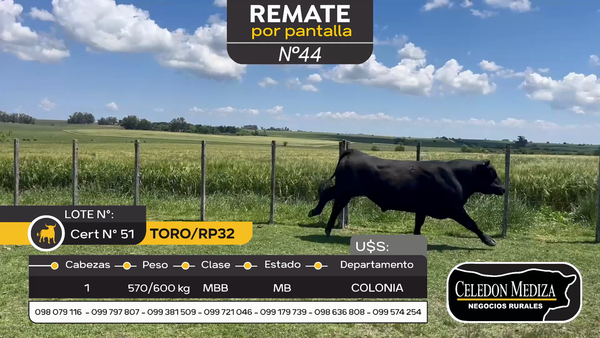 Lote Toro RP32 en Otra Localidad, Colonia