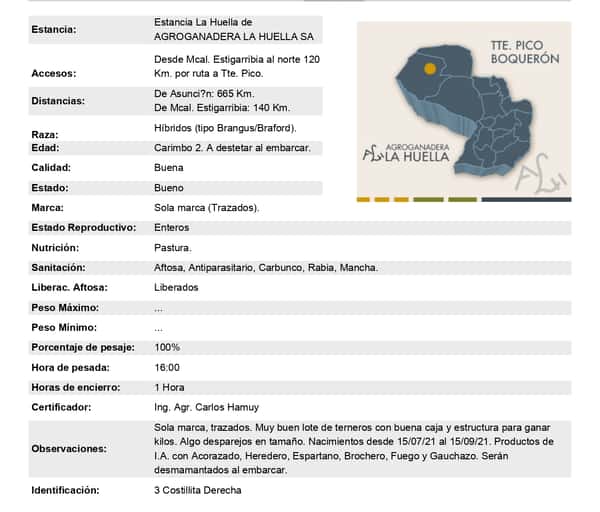 Lote Lote 21