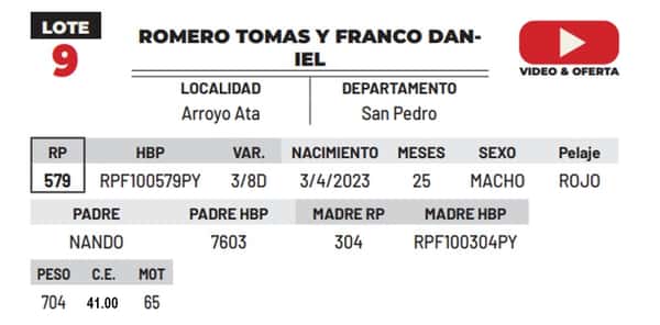 Lote LOTE 9