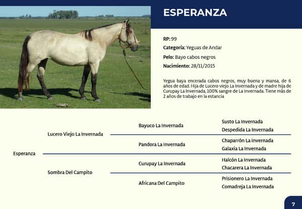 Lote RP 99 - Esperanza