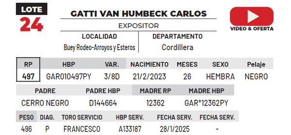 Lote LOTE 24