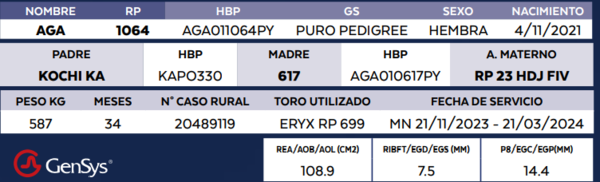 Lote LOTE 46