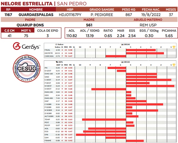 Lote LOTE 10