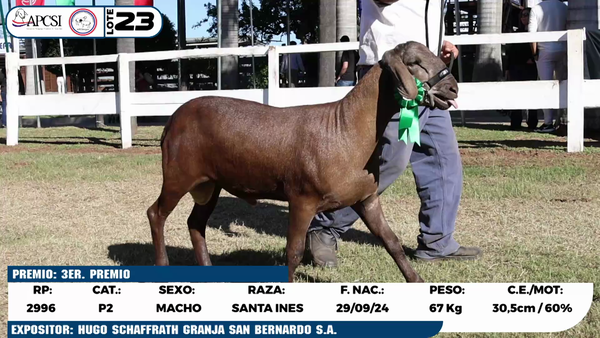 Lote LOTE 23