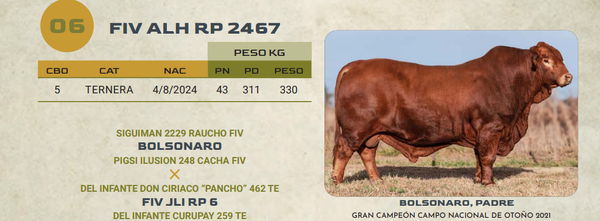 Lote LOTE 6
