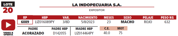 Lote LOTE 20