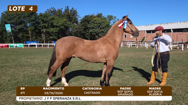 Lote LOTE 4
