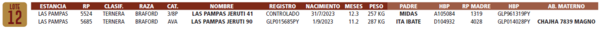 Lote LOTE 12