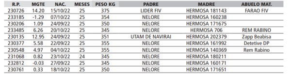 Lote LOTE 6 - POR PANTALLA