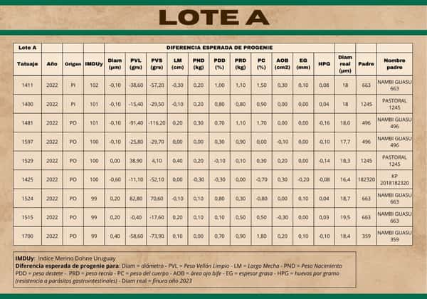 Lote Carneros a remate en Subasta Online - Nambi Guasu, Lavalleja