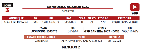 Lote LOTE 3