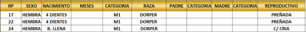 Lote LOTE 9