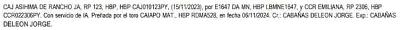 Lote LOTE 1