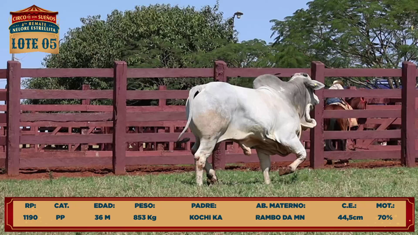 Lote LOTE 5