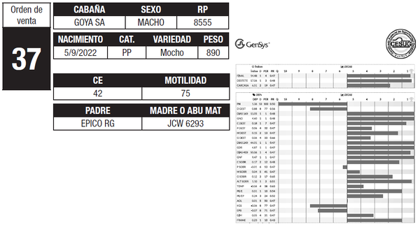 Lote LOTE 37