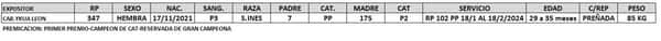 Lote LOTE 18