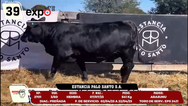 Lote LOTE 39