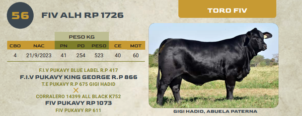 Lote LOTE 56