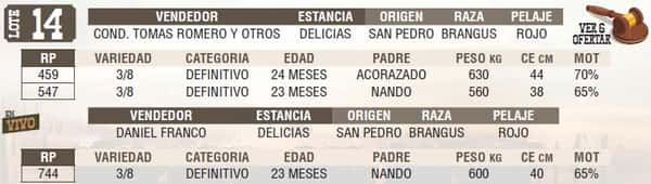 Lote LOTE 14 - EN VIVO