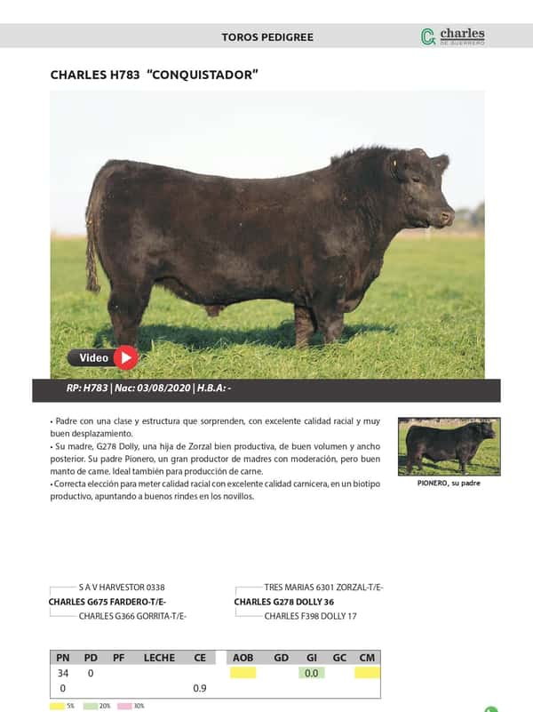 Lote TOROS PEDIGREE