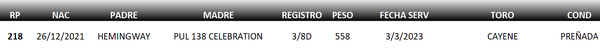Lote LOTE 7