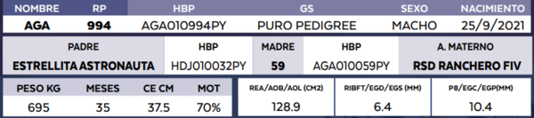 Lote LOTE 26