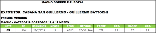 Lote LOTE 59