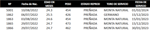 Lote LOTE 29