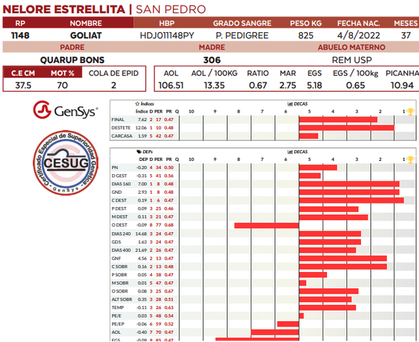 Lote LOTE 4