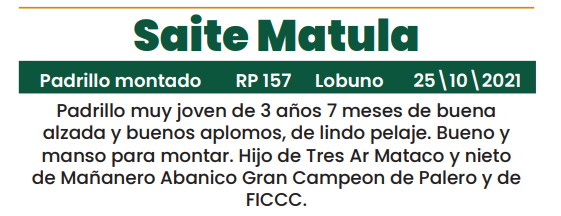 Lote LOTE 21