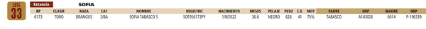 Lote LOTE 33