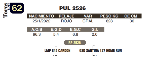 Lote LOTE 62