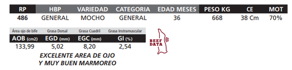 Lote LOTE 60