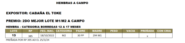 Lote LOTE 13- CAMPO