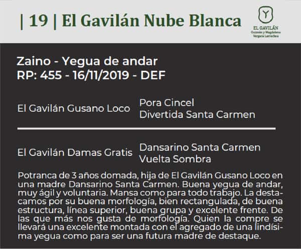 Lote El Gavilán Nube Blanca (RP 455) Cabaña "El Gavilán"